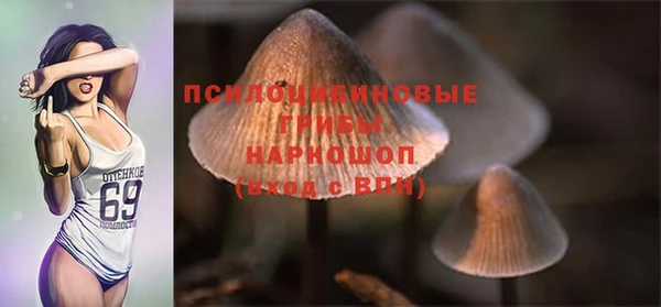синтетический гашиш Алексеевка