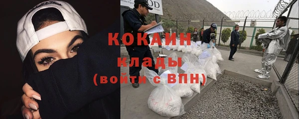 дмт Алзамай