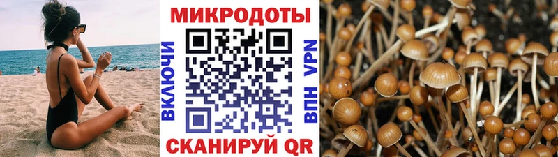 даркнет формула  купить  сайты  Сосновка  Псилоцибиновые грибы прущие грибы 